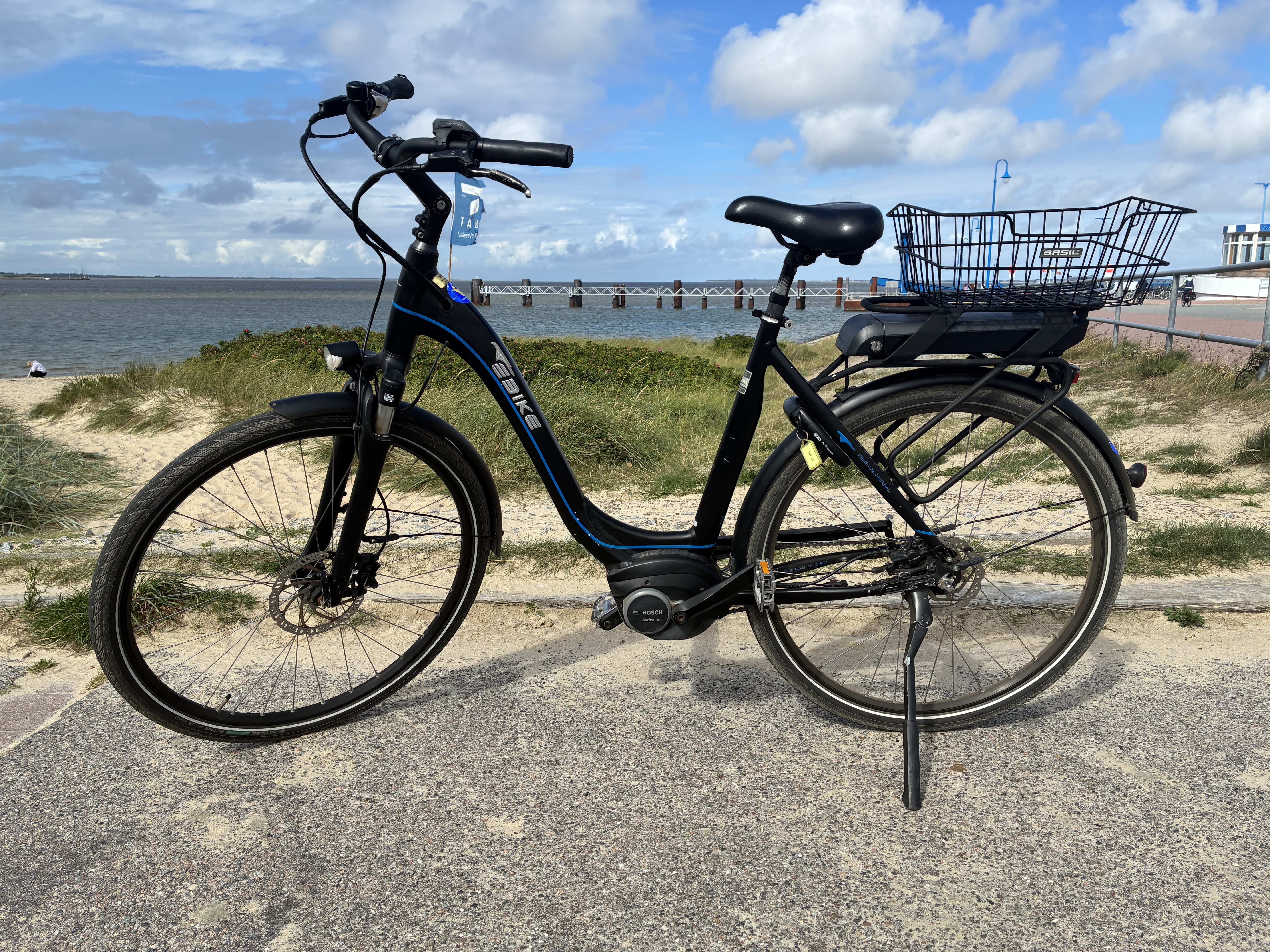 EBIKE - das Original | 28 Zoll | City-E-Bike | 7-Gang Nabenschaltung | geprüft & direkt fahrbereit