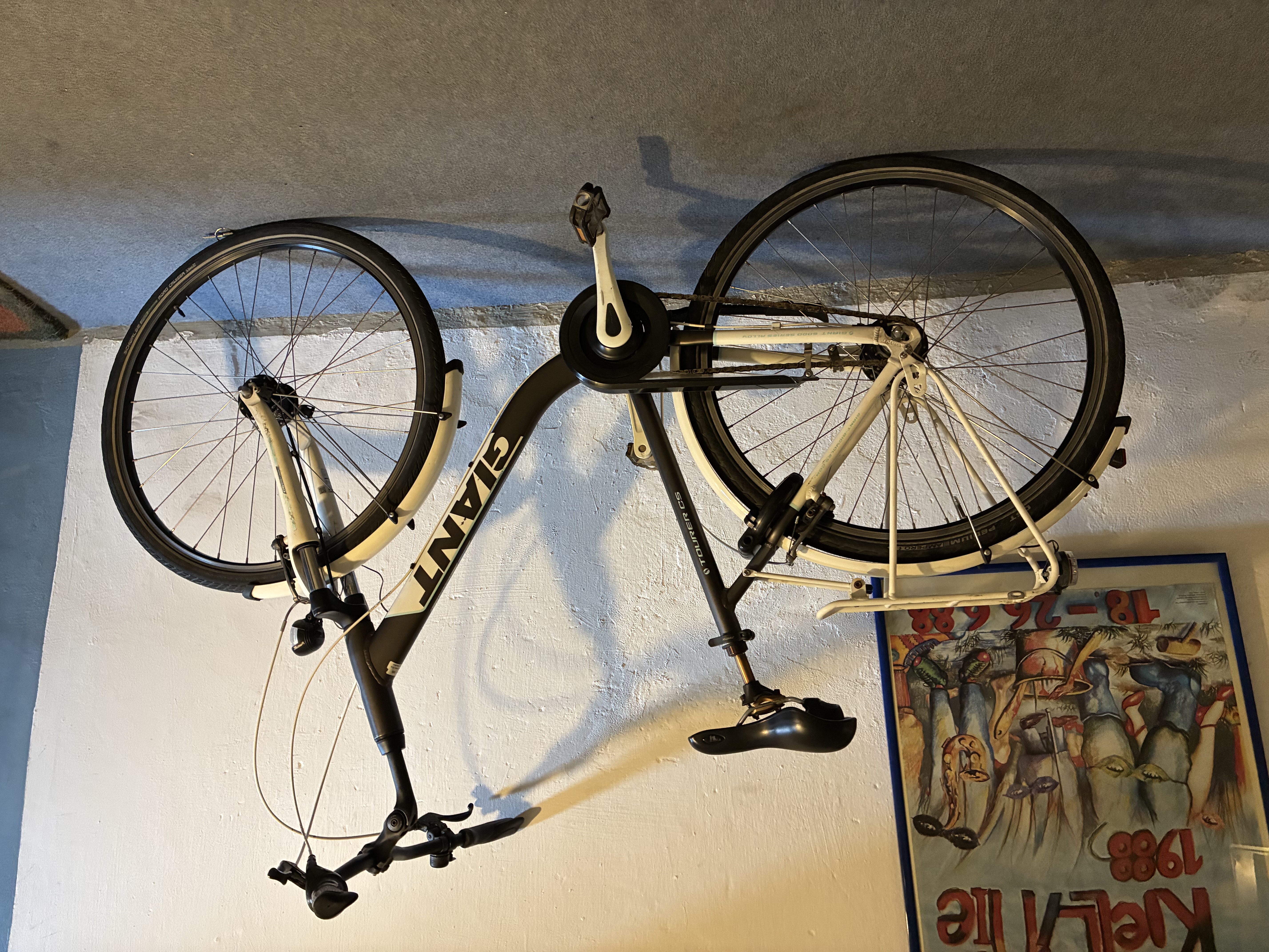 Giant Damen Tourer LDS Fahrrad gebraucht Größe L