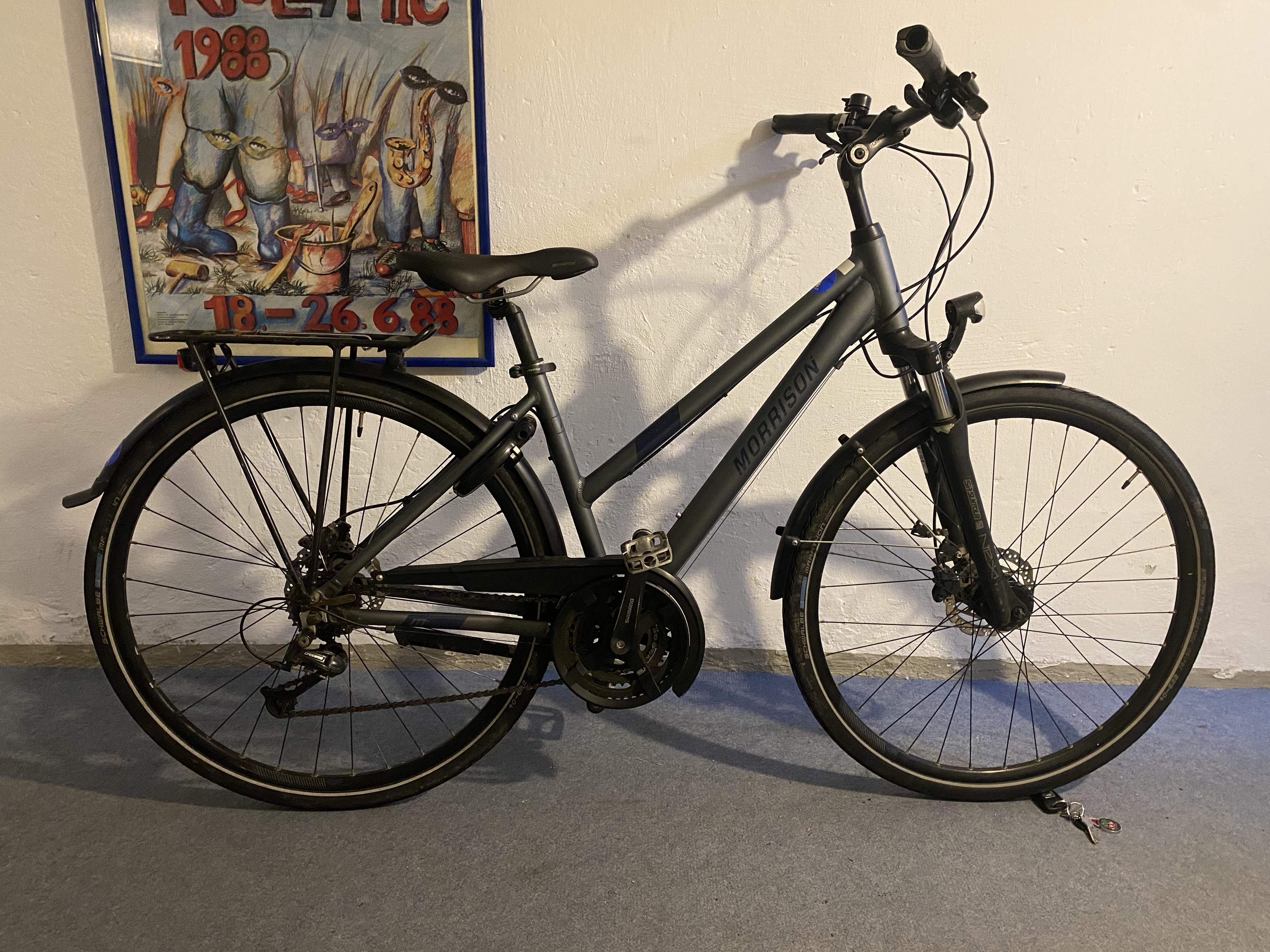 Morrison Damen Trekking Fahrrad M gebraucht (21-78)