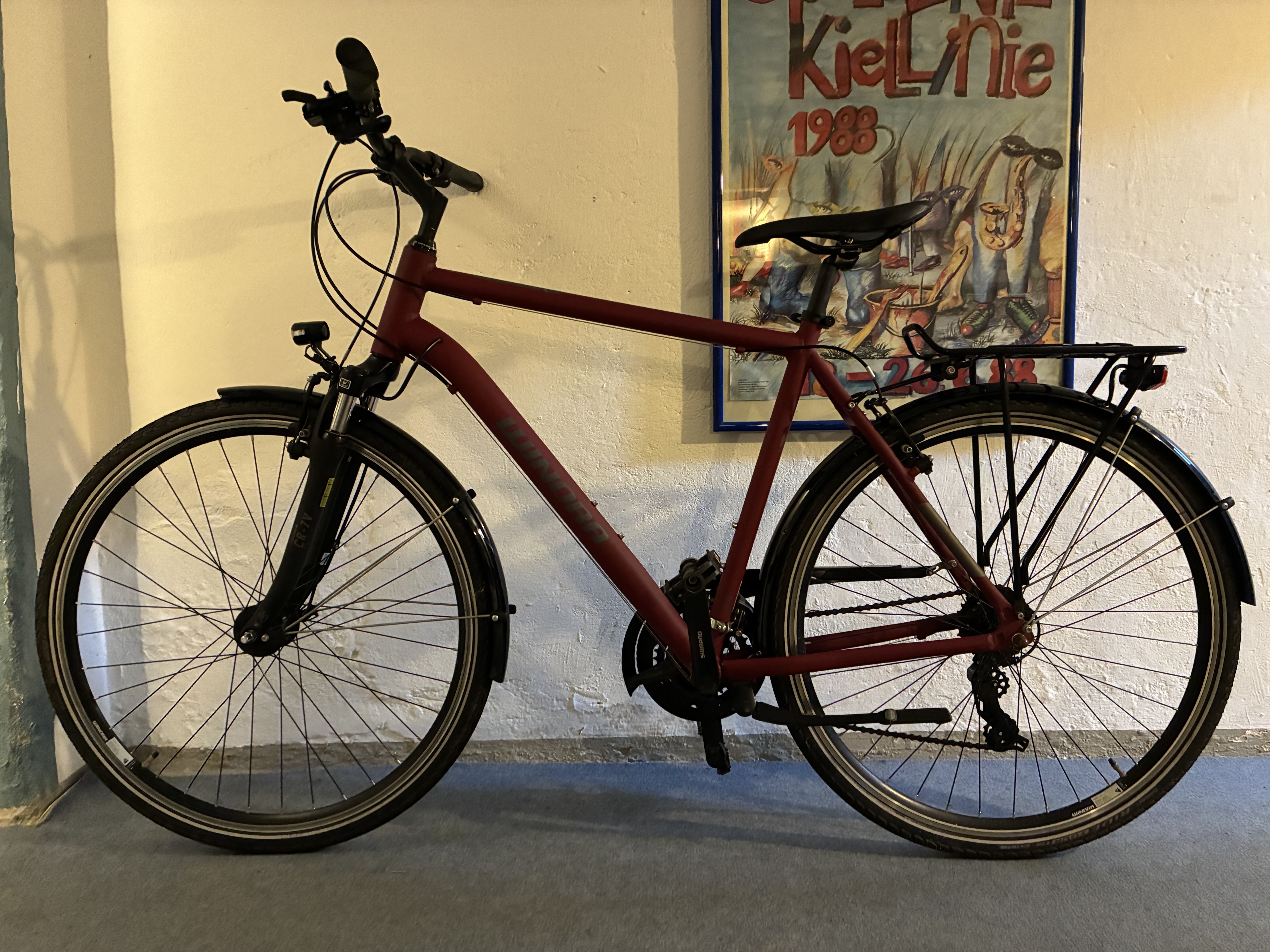 Winora Herren Trekking Fahrrad gebraucht Größe M  (25-106)