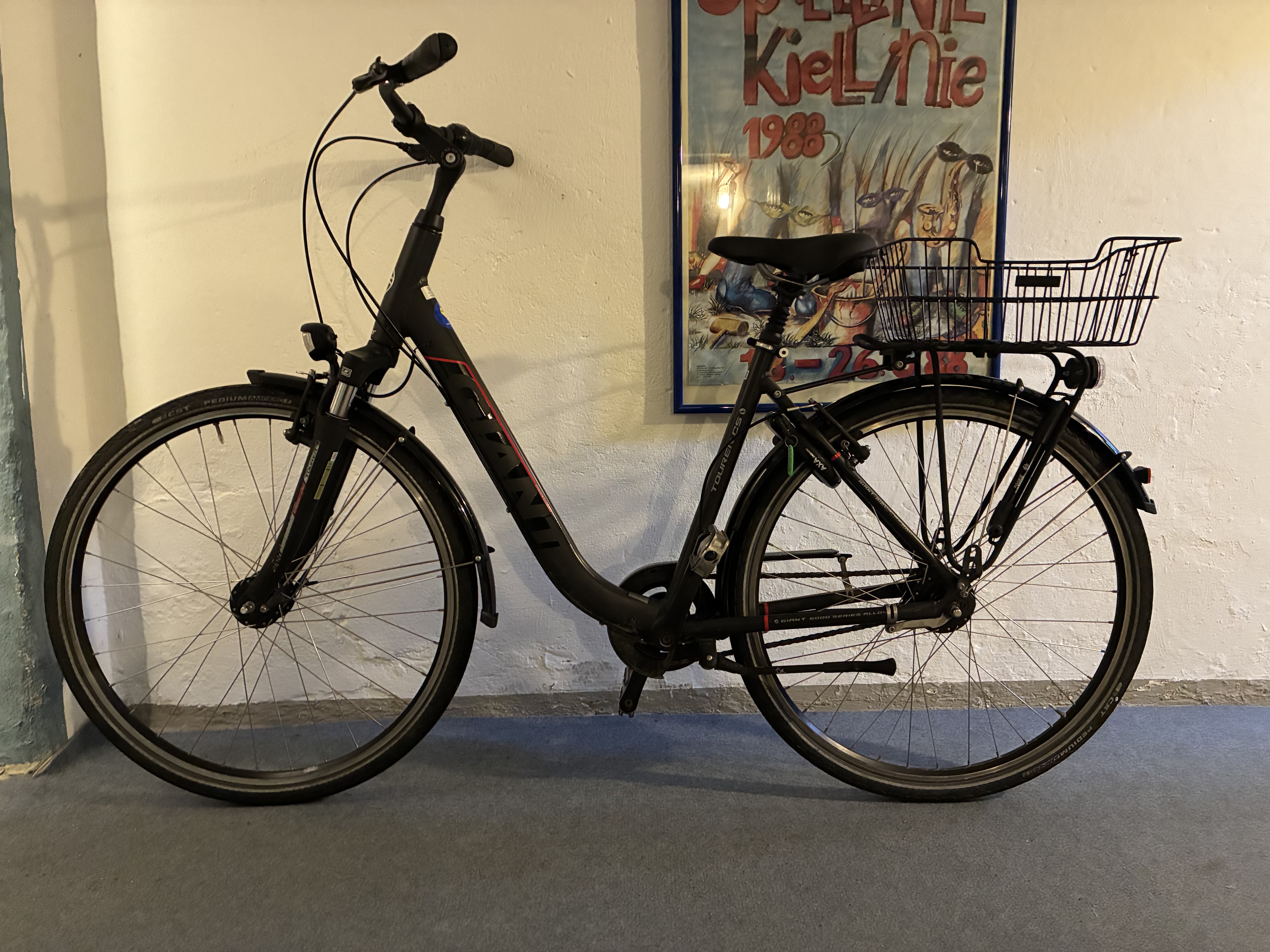 Giant Damen Tourer LDS Fahrrad gebraucht (22-12)